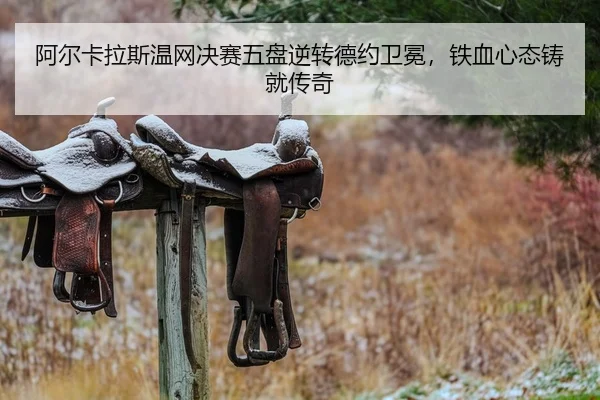 a-er-ka-la-si-wen-wang-jue-sai-wu-pan-ni-zhuan-de-yue-wei-mian-tie-xue-xin-tai-zhu-jiu-chuan-qi-2-289.jpg