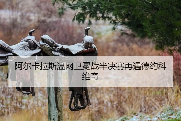 a-er-ka-la-si-wen-wang-wei-mian-zhan-ban-jue-sai-zai-yu-de-yue-ke-wei-qi-2-956.jpg
