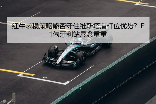 hong-niu-qiu-wen-ce-lve-neng-fou-shou-zhu-wei-si-ta-pan-gan-wei-you-shi-xiong-ya-li-zhan-xuan-nian-chong-chong-3-944.jpg
